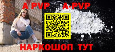 кокс Кингисепп