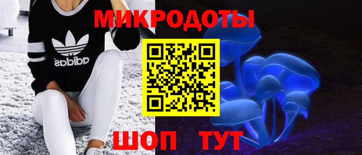 где найти наркотики  Вход с VPN  Ленинск-Кузнецкий  Псилоцибиновые грибы MAGIC MUSHROOMS 