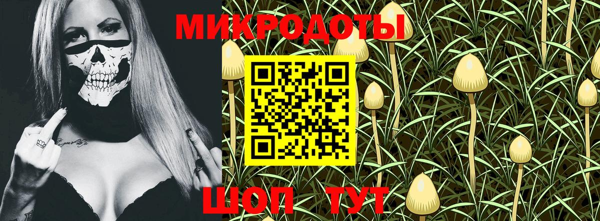 Псилоцибиновые грибы MAGIC MUSHROOMS Ленинск-Кузнецкий